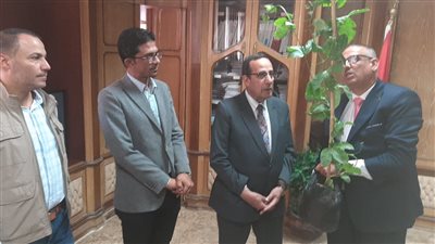 هنجملها تهدي محافظة شمال سيناء 3 آلاف شجرة زيتون