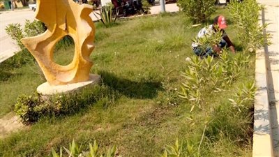 زراعة 2300 شجرة في أحياء الإسكندرية 