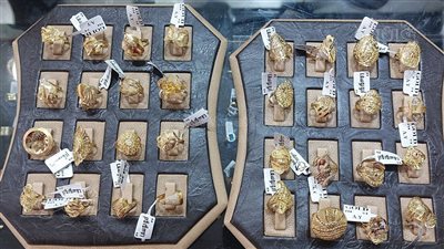 أسعار الذهب اليوم الأربعاء، آخر تحديث 