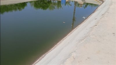 مصرع خفير غرقا في بيارة مياه بمزرعة بالإسماعيلية 