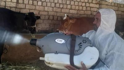 تقديم الخدمات البيطرية لـ 452 رأس ماشية خلال قافلة بالمنيا