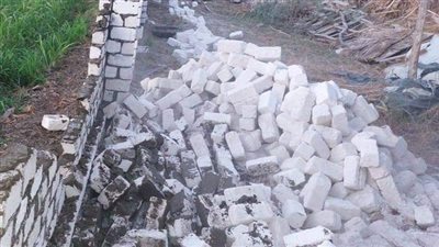 إزالة 13 حالة تعد على أراضي زراعية بالبحيرة (صور)