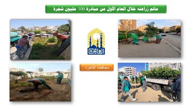 هشام آمنة: توريد وزراعة 7.6 مليون شجرة بالمحافظات 