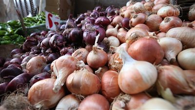 أسعار الخضراوات اليوم، 13 جنيهًا أقل سعر لكيلو البصل في سوق العبور