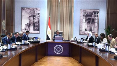 الحكومة: صندوق قادرون باختلاف يوفر منحا دراسية بالداخل والخارج