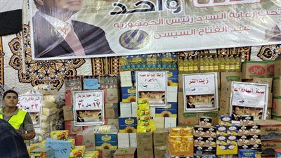 الأرز بـ17 جنيها، أسعار السلع الغذائية بمعرض كلنا واحد في المنوفية (فيديو)