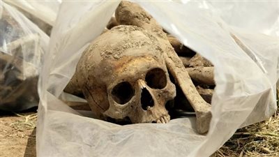 العثور على جمجمة بشرية داخل صندوق تبرعات