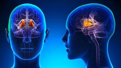 تسبب متلازمة كوشينج وتضخم الأطراف، مضاعفات وأعراض فرط نشاط الغدة النخامية