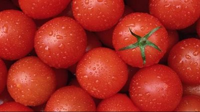 فوائد الطماطم، تقوي المناعة وتحارب السرطان