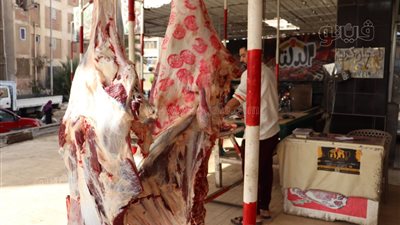 تصل لـ400 جنيه، زيادة أسعار اللحوم وتوقعات بارتفاعات جديدة قبل رمضان