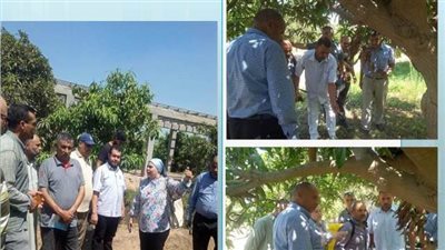زراعة الشرقية تنظم ندوة في أبوحماد عن مكافحة ذبابة الفاكهة 