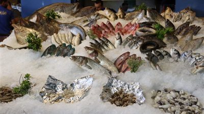 أسعار الأسماك اليوم، تباين سعر الجمبري في سوق العبور