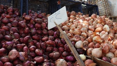 أسعار الخضراوات اليوم، انخفاض سعر البصل في سوق العبور