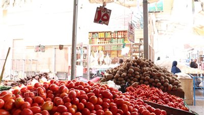 «الـ 4 كيلو بـ 100 جنيه يا مجنونة» تثير غضب المواطنين.. مطالبات بمراقبة أسواق الطماطم.. وشعبة الخضراوات: طرح إنتاج محافظات الصعيد يخفض الأسعار