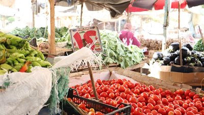 من الغيط إلى البيت، مبادرة جديدة لخفض أسعار الخضراوات والفاكهة بنحو 30 ٪
