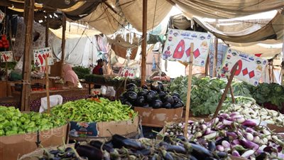 أسعار الخضراوات في سوق العبور اليوم الثلاثاء 19 سبتمبر 2023