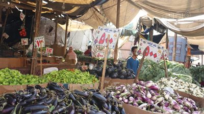 أسعار الخضراوات اليوم، 5.5 جنيه أعلى سعر لكيلو الباذنجان في سوق العبور