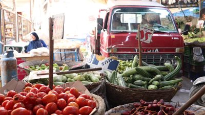 أسعار الخضراوات والفاكهة في الأسواق اليوم الجمعة (صور) 