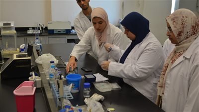 التعليم العالي: مدينة الأبحاث العلمية تنظم دورات تدريبية لطلاب الجامعات المصرية