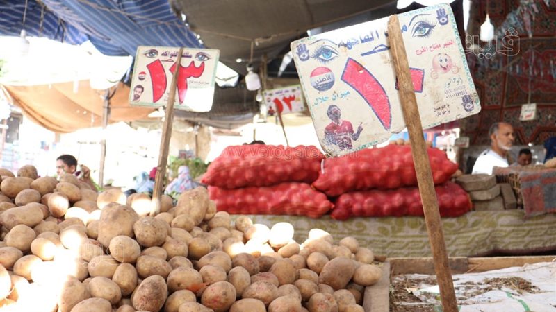 أسعار الخضراوات اليوم،