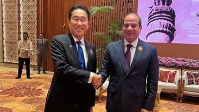 نشاط رئاسي مكثف في نيودلهي.. السيسي يشارك في قمة العشرين.. يلتقي قادة اليابان والصين والبرازيل وجنوب أفريقيا والمفوضية الأوروبية والصحة العالمية