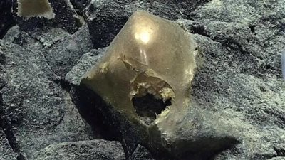 العثور على جسم ذهبي غريب في المحيط يحير العلماء 