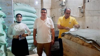 مخابز مخالفة وإحباط ترويج دقيق مدعم للسوق السوداء بمركزى طلخا والمنصورة