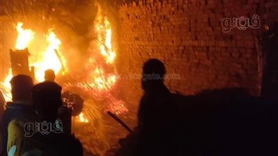 حريق يلتهم 3 حظائر مواشي في المنوفية