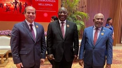 السيسي يلتقي قادة اليابان وجنوب أفريقيا وجزر القمر ومنظمة الصحة العالمية (صور)