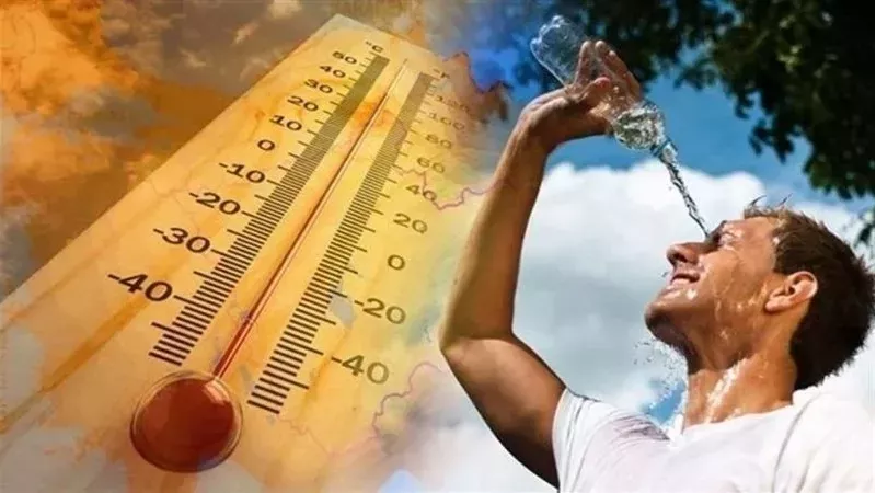حالة الطقس غدا، فيتو
