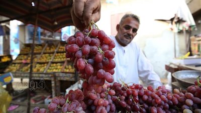 أسعار الفاكهة اليوم، 10 جنيهات أقل سعر لكيلو العنب في سوق العبور