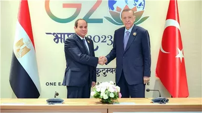 خبير يكشف لـ فيتو النتائج المترتبة على لقاء السيسي وأردوغان على أزمات المنطقة 