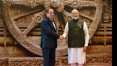 السيسي يعود إلى أرض الوطن عقب المشاركة في قمة مجموعة العشرين بنيودلهي