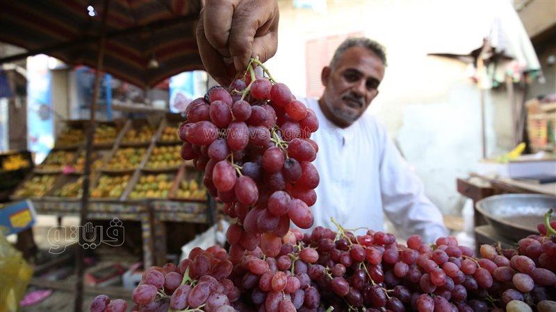 الفاكهة اليوم في