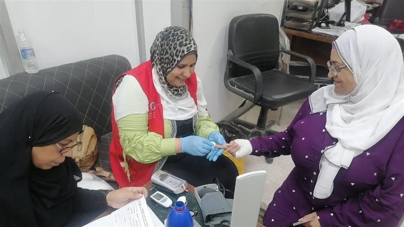 وزارة العمل،فيتو