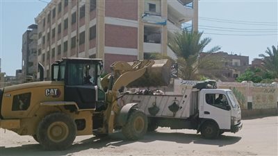 رفع 280 طن قمامة في حملات بشوارع الدقهلية