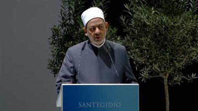 شيخ الأزهر: كنا ننتظر الحضارة والتراحم في الألفية الثالثة وفاجأتنا الحروب وخسارة الأموال