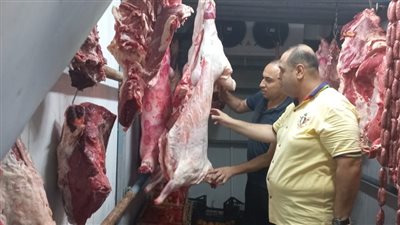 ضبط لحوم مجهولة المصدر وأخرى مذبوحة خارج السلخانة فى الإسكندرية