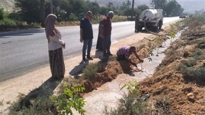 الاستمرار في زراعة الأشجار المثمرة بمركزي البداري وديروط بأسيوط