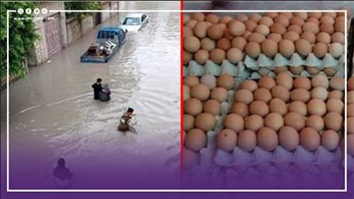 نشرة الأخبار، ارتفاع سعر البيض رغم تراجع الأعلاف، الوضع في ليبيا خرج عن السيطرة بسبب 