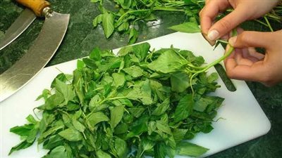 فوائد الملوخية الخضراء، لتعزيز المناعة وعلاج فقر الدم والإمساك