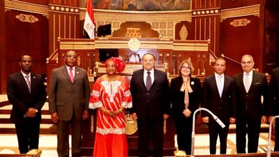 تفاصيل لقاء رئيس مجلس الشيوخ ونظيرته بغينيا الاستوائية 