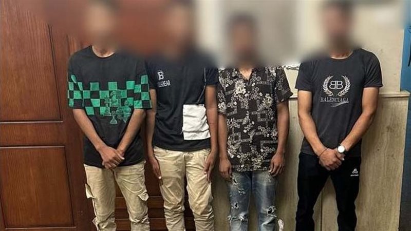 ضبط تشكيل عصابى،فيتو