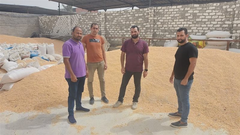 ضبط 30 طنا من الذرة