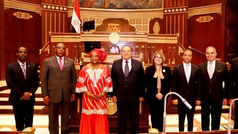 رئيس مجلس الشيوخ