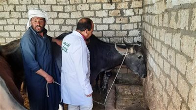 بيطري البحيرة: علاج وتحصين 81123 رأس ماشية (صور)