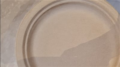 أطباق مصنوعة من أشجار الموز تثير إعجاب حضور منتدى الاستثمار البيئي والمناخي