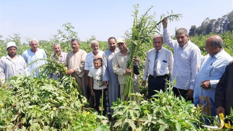 زراعة الشرقية:يوم