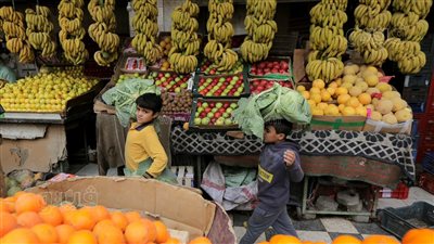 أسعار الفاكهة اليوم الأربعاء 20-9-2023 في الدقهلية