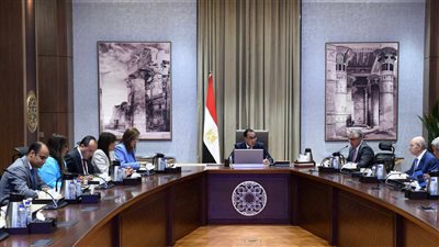 رئيس الوزراء يستعرض مشروع إنشاء مجمع صناعي متكامل لإنتاج مُسطحات الصلب